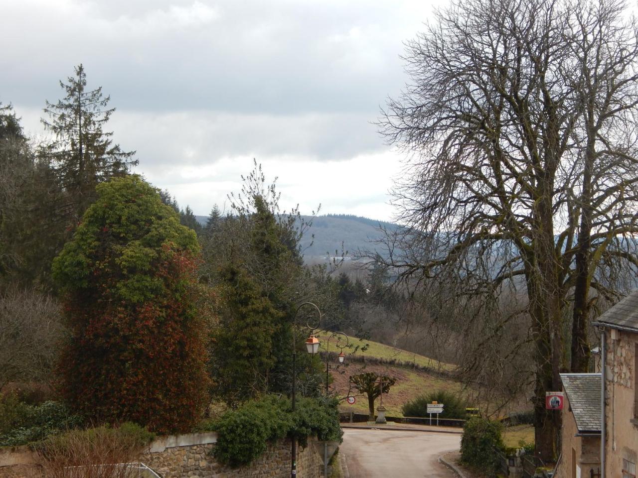 Le Lion D'Or Hotel Ouroux-en-Morvan Bagian luar foto